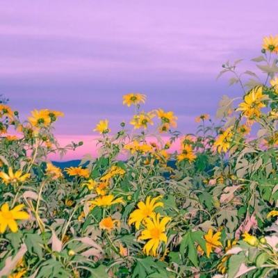 爱游体育APP官方入口